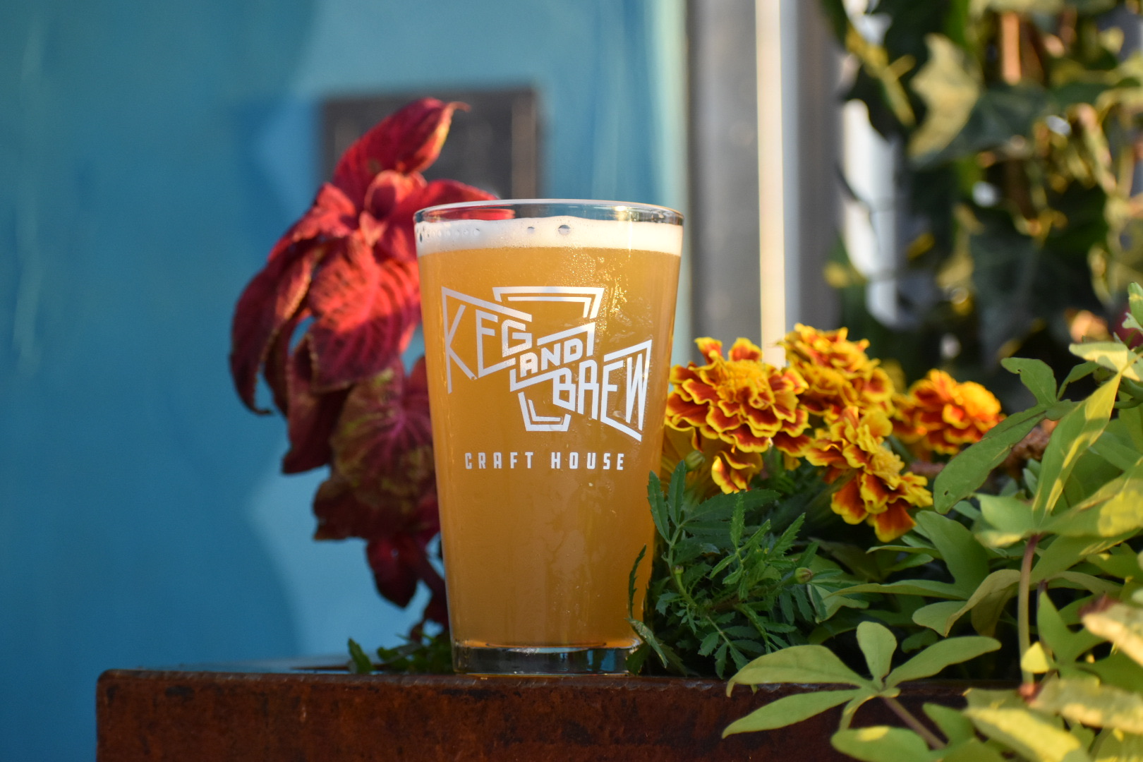 Keg & Brew Keg & Brew